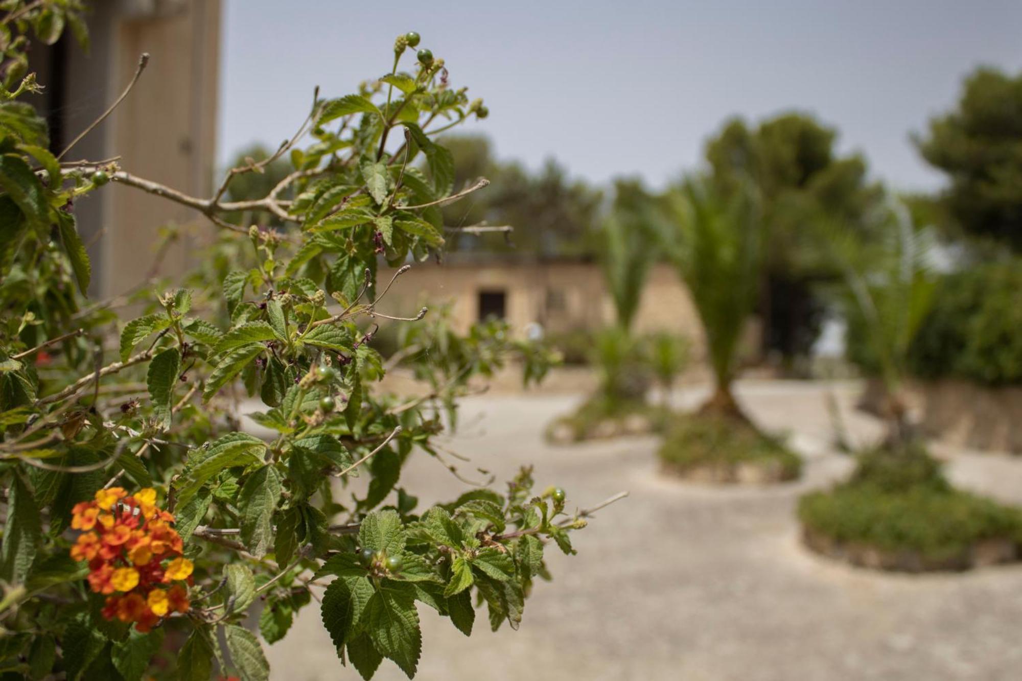 Agriturismo Bellajo - Ville Rustiche Con Piscina Agrigent Exterior foto